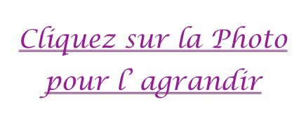 Cliquez sur la Photo
pour l’ agrandir